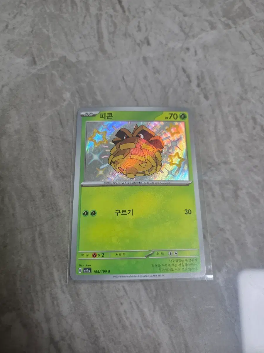 포켓몬카드 피콘 s 이로치