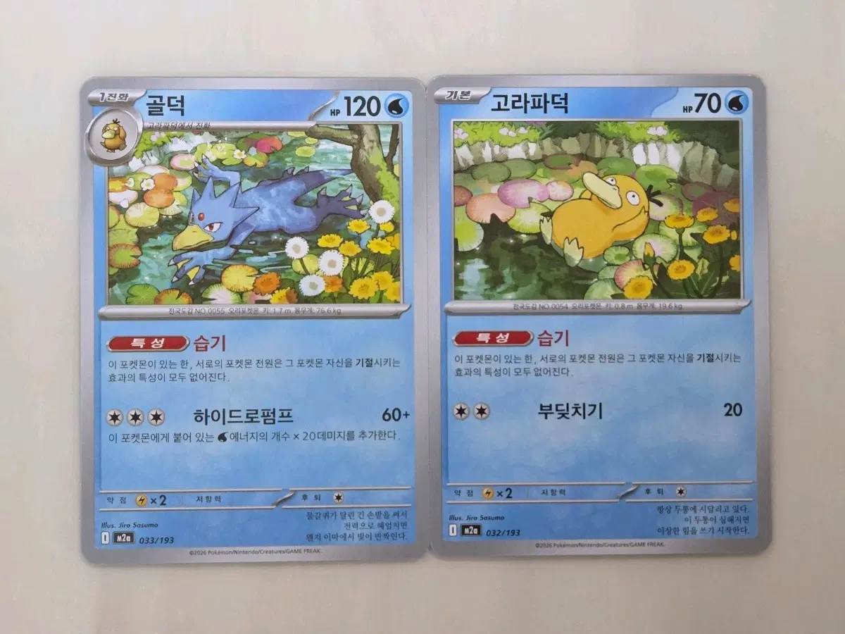 포켓몬 카드 골덕/고라파덕