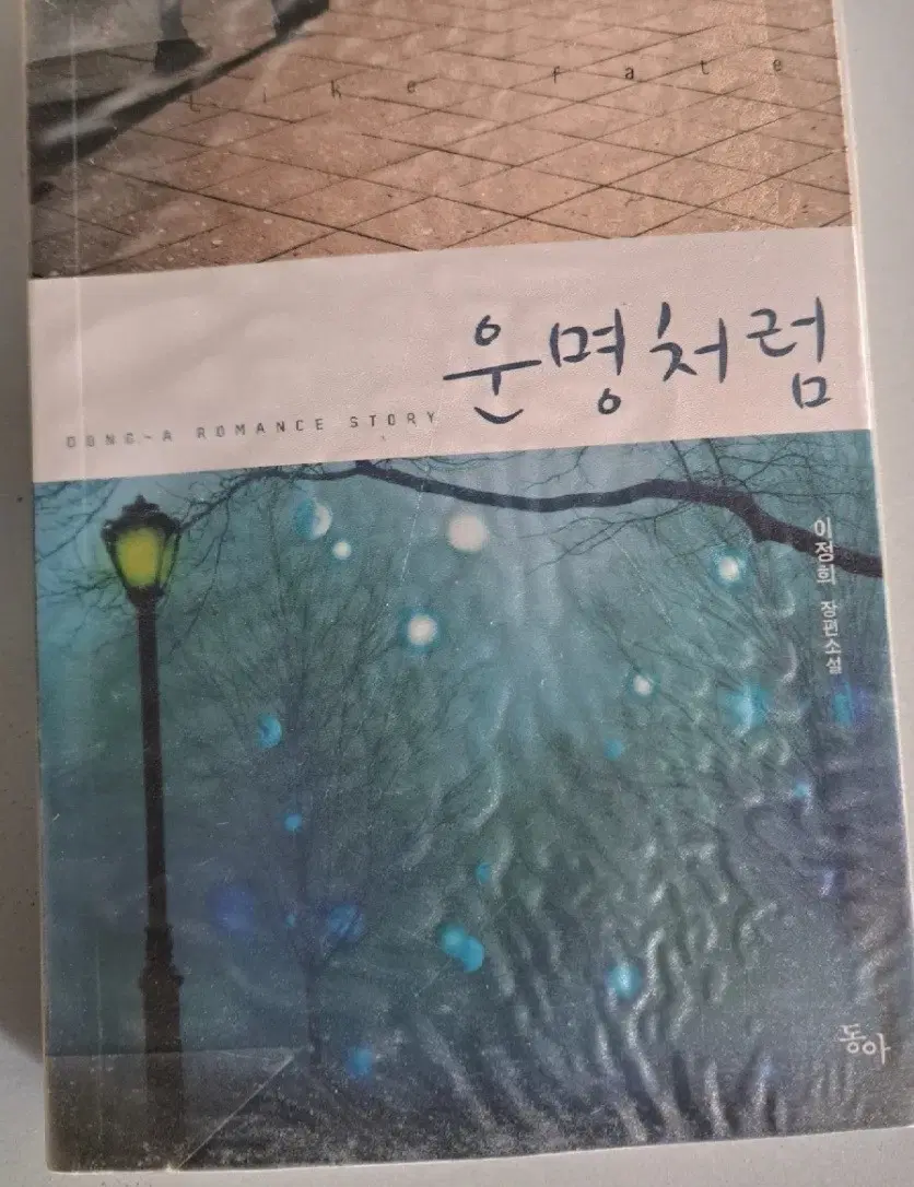 단권 소설책 운명처럼