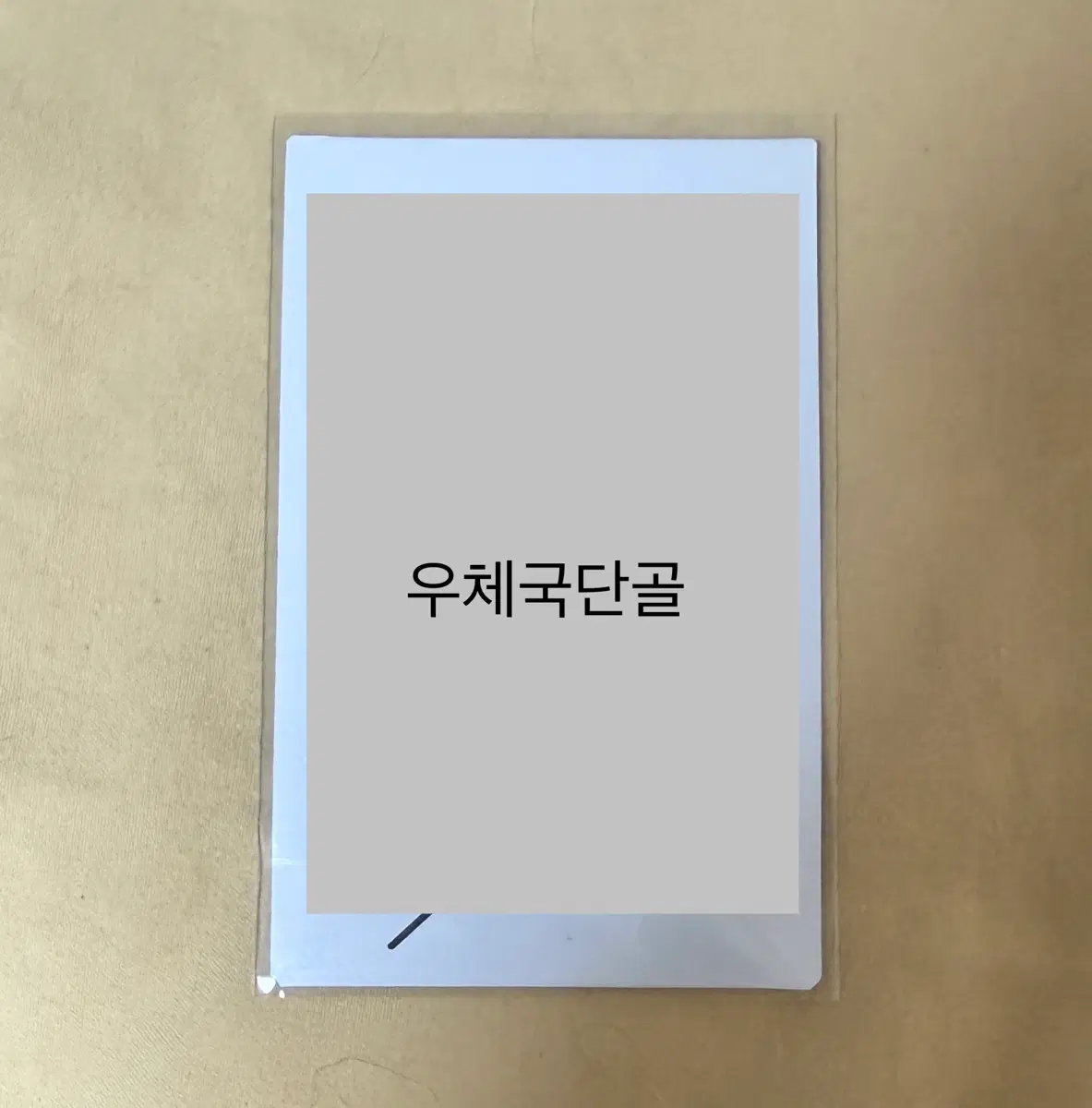 넥스지 소건 싸인폴라 양도