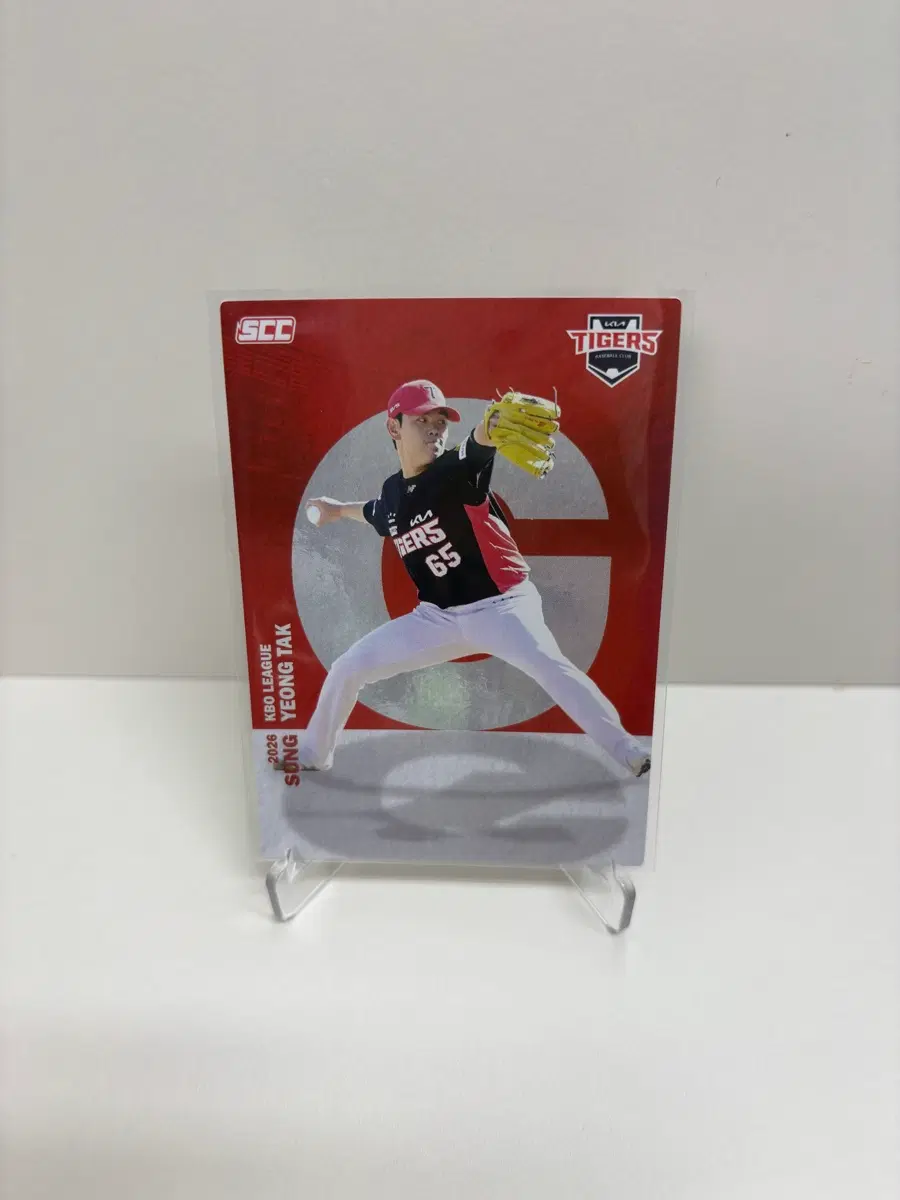 성영탁 알파벳