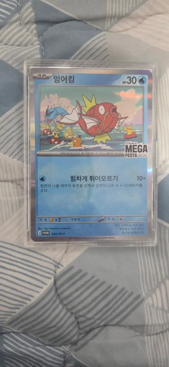 포켓몬카드 잉어킹 프로모 카드