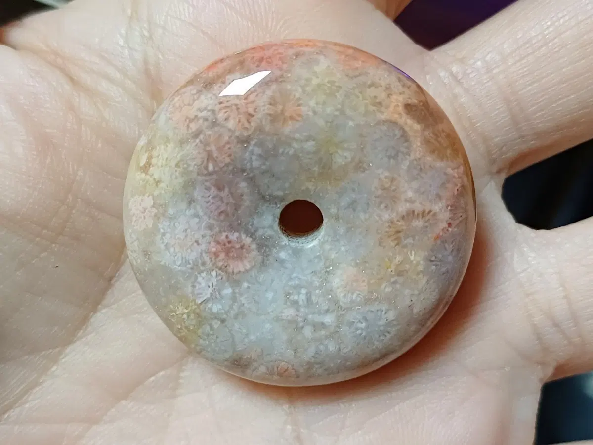 원석 산호 화석 포실 코랄 산호옥 평안구 C
