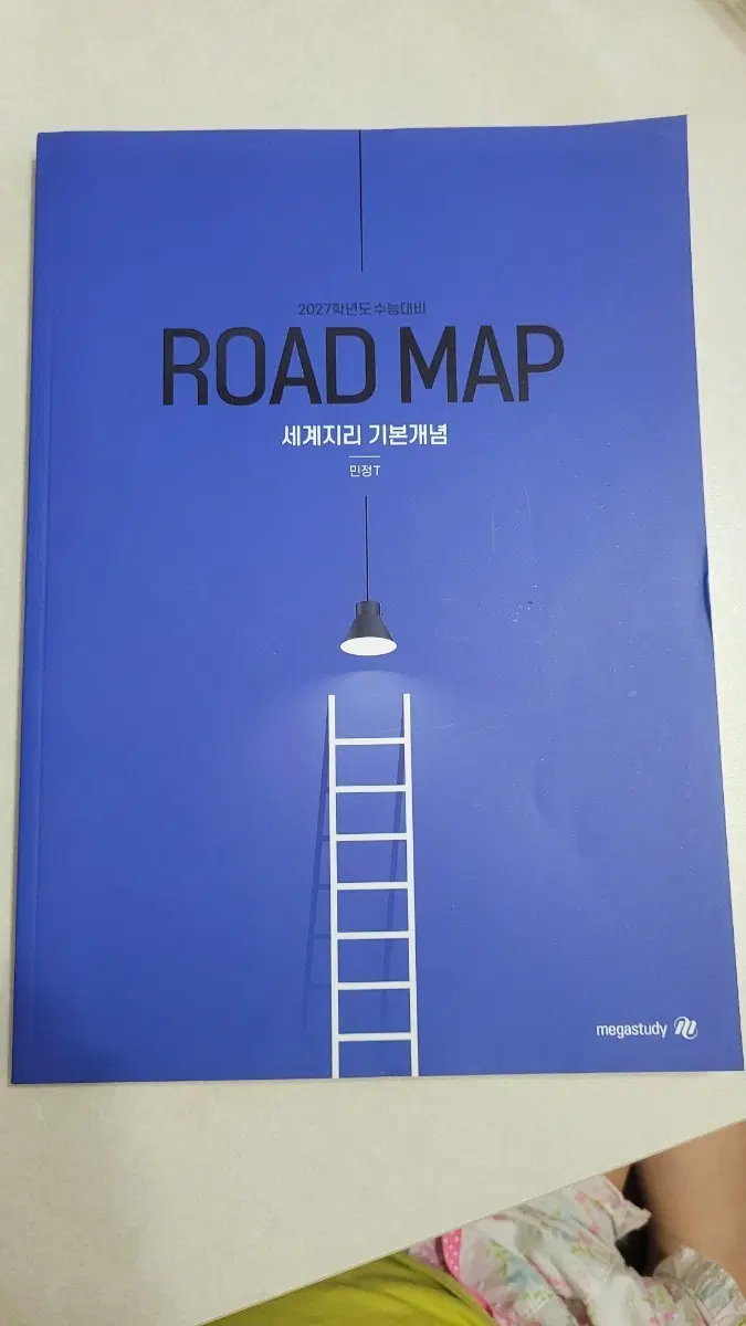 로드맵 세계지리 기본개념(민정T)