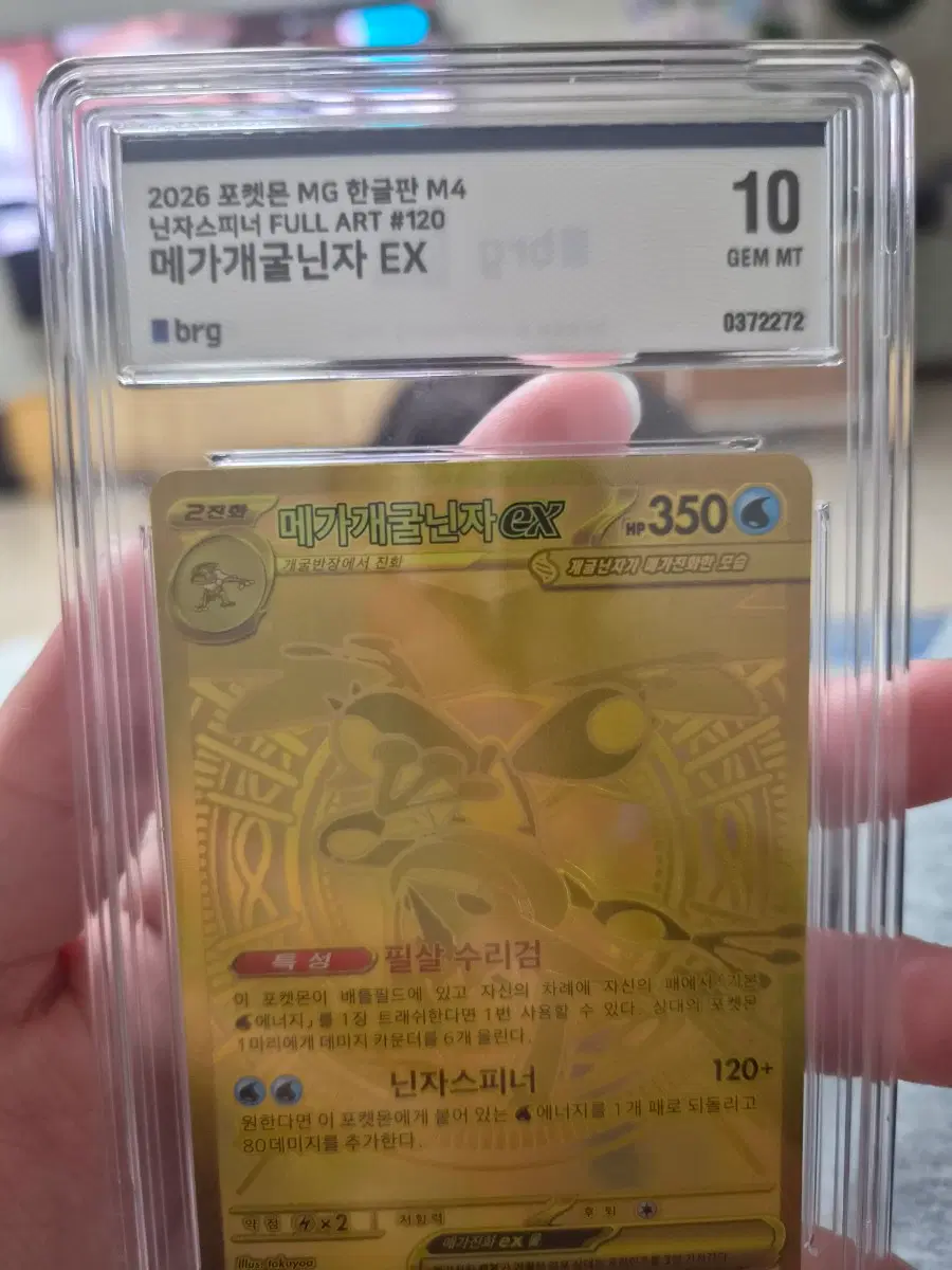 메가 개굴닌자 mur brg 10