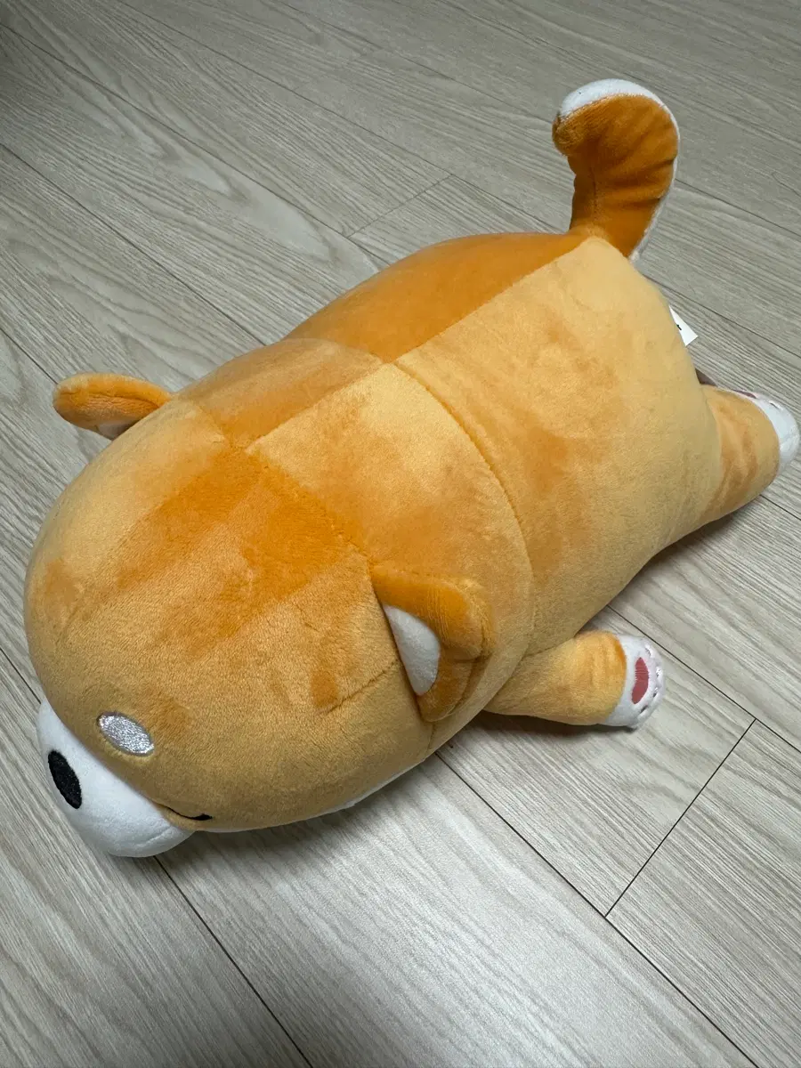 모찌 시바견 인형