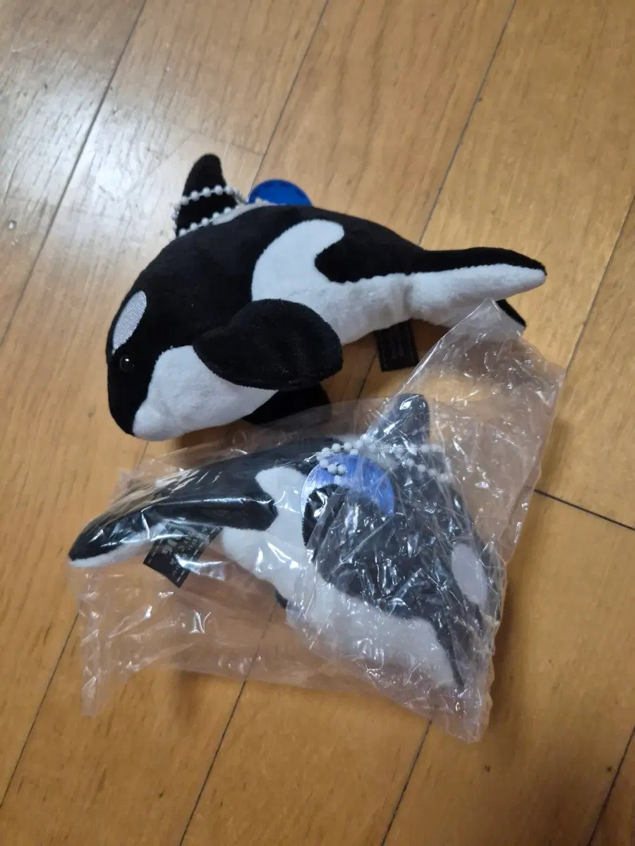 범고래 인형 해양생물 바다생물 돌고래 가챠 뽑기