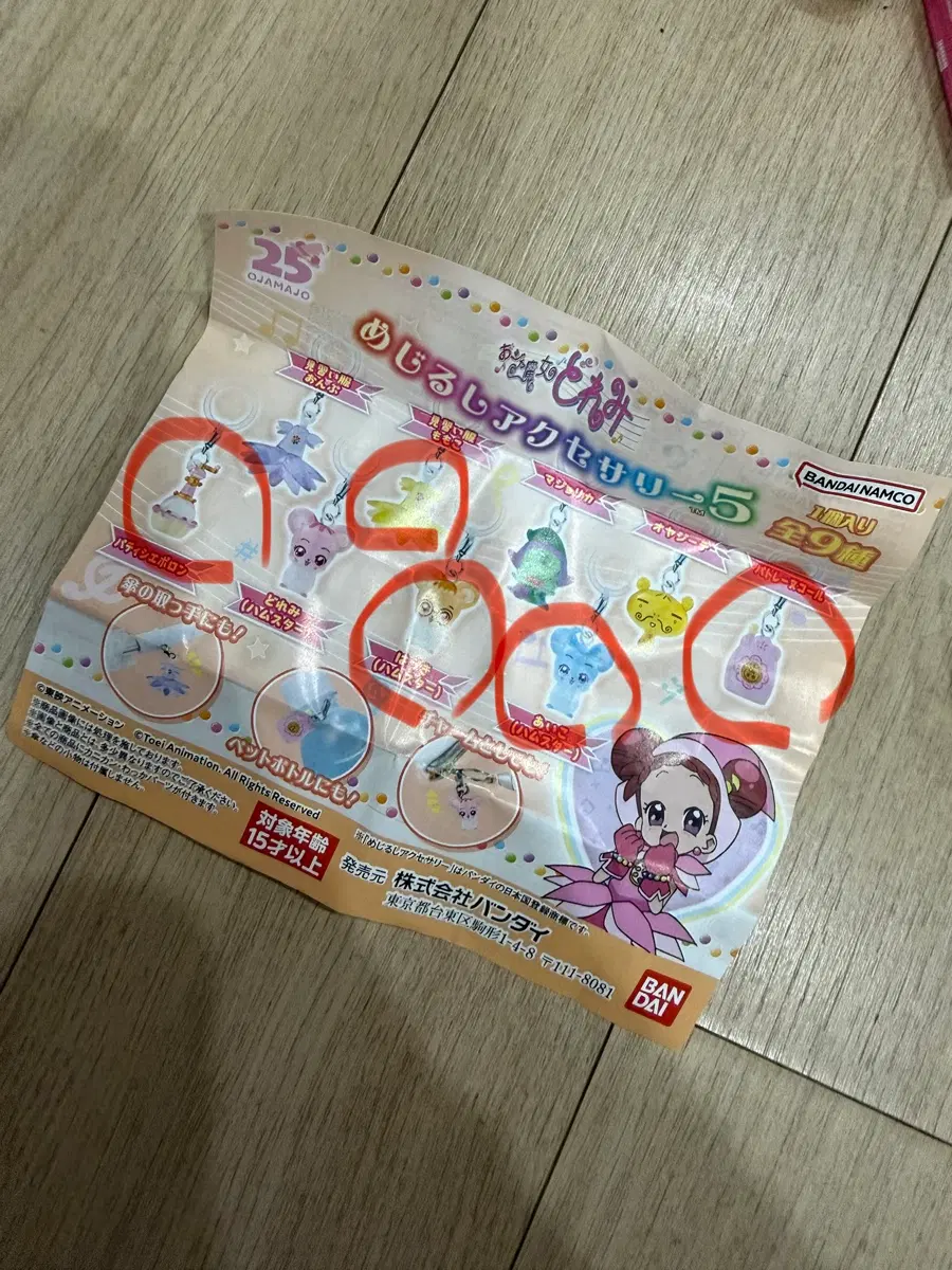 꼬마마법사 레미 메지루시