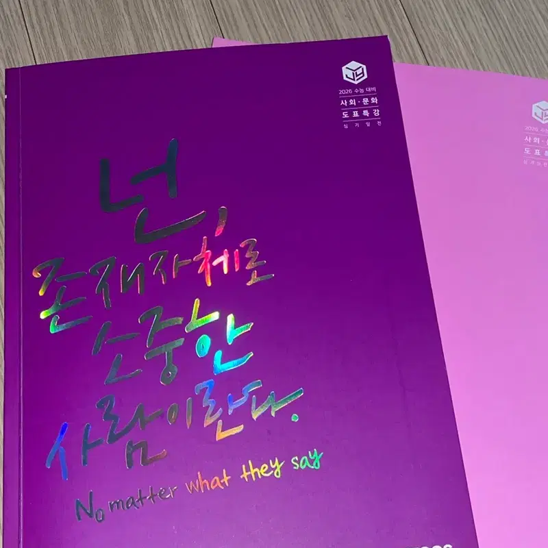 2026 이지영 심기일전 사회문화