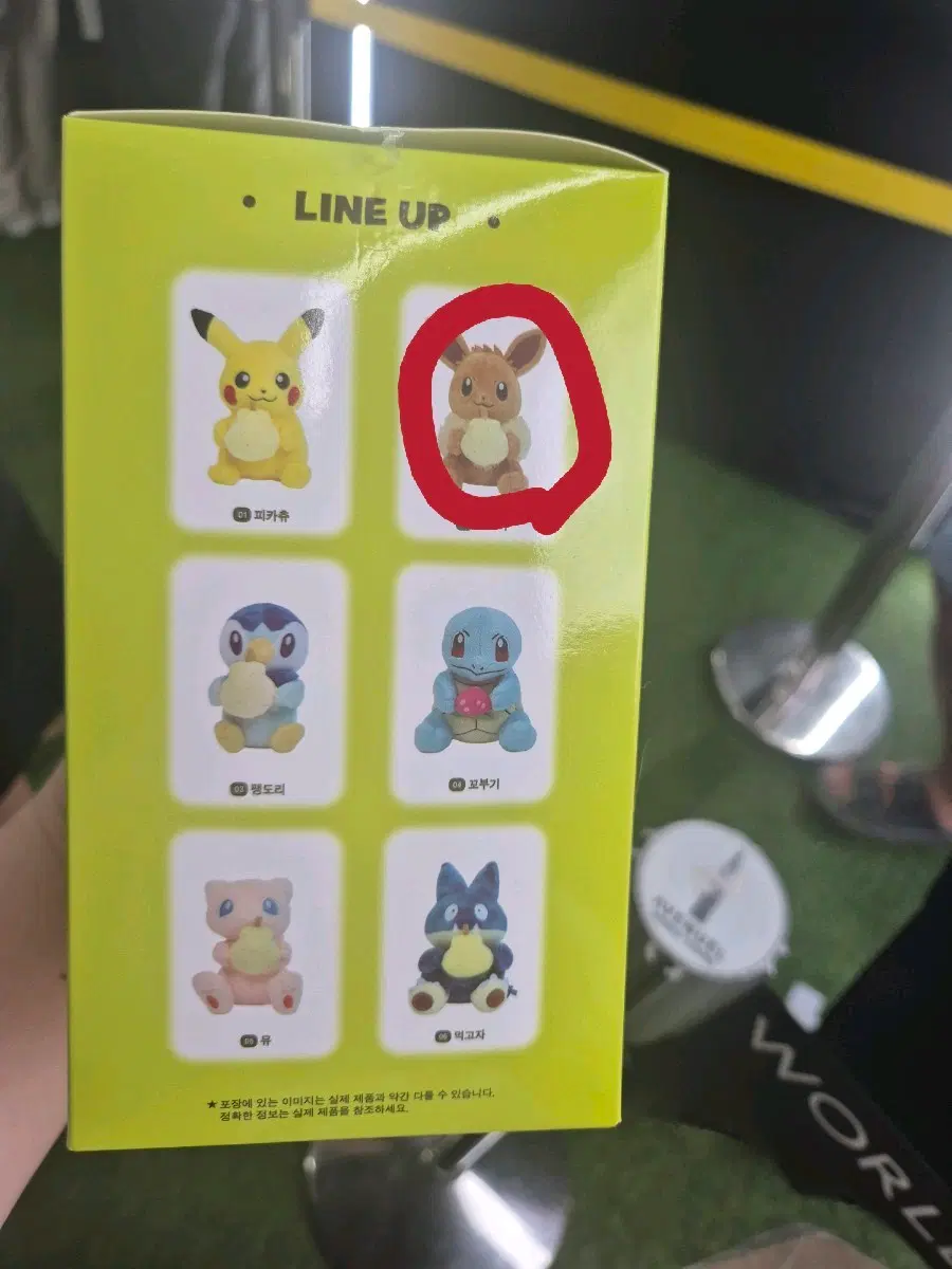 판) 포켓몬 별빛낙원 열매든 포켓몬 인형 이브이