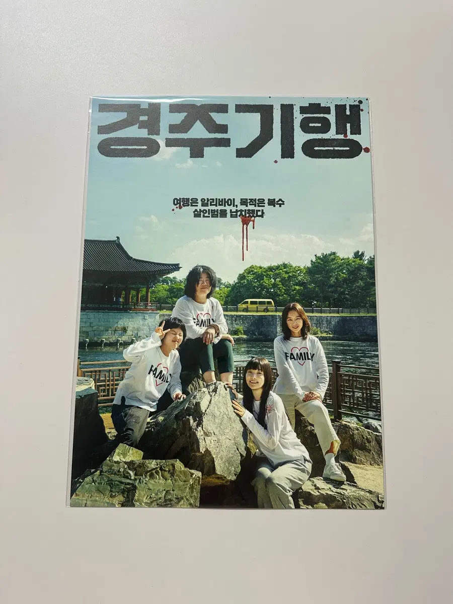 영화 경주기행 가족사진 포스터