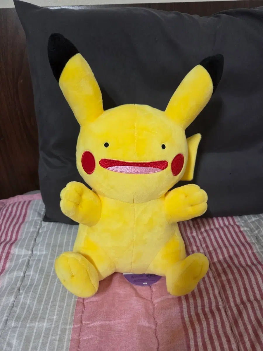 피카츄로 변한 메타몽 25cm 인형 판매