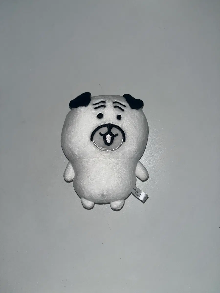 나가노 퍼그상 인형 누이 퍼그 농담곰