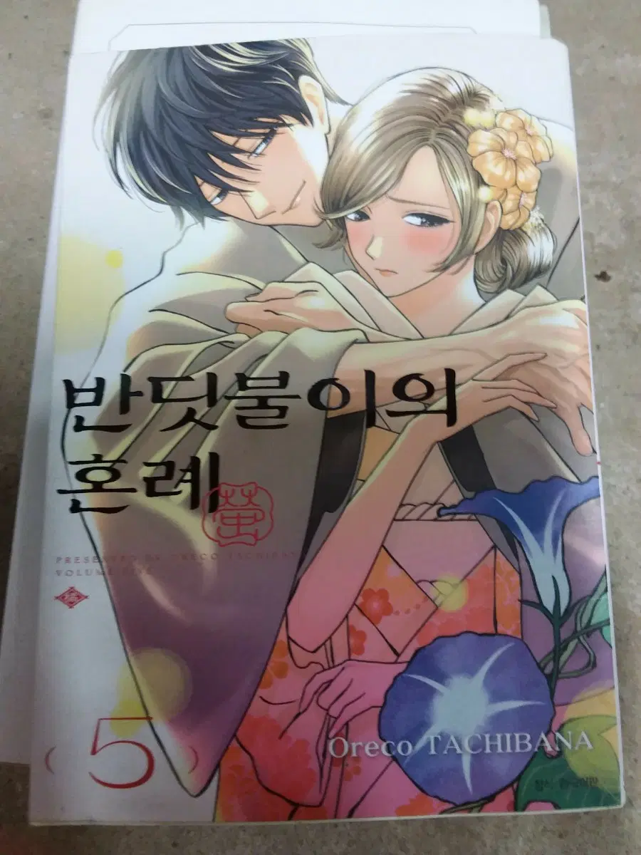 순정만화 반듯불의 혼례 5권