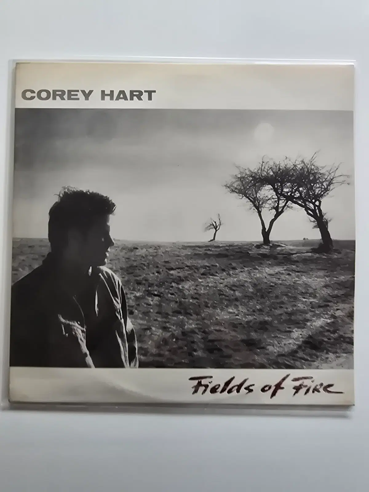 코리 하트 Corey Hart LP / Fields of Fire /NM-/ 가사집