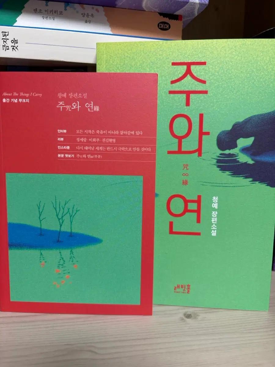 청예 장편소설 주와 연