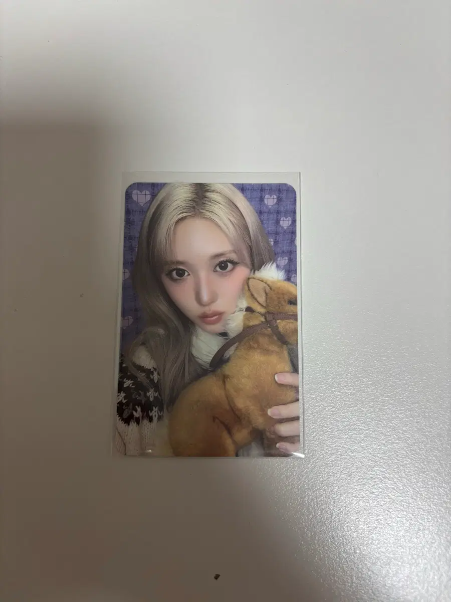 가을 포카