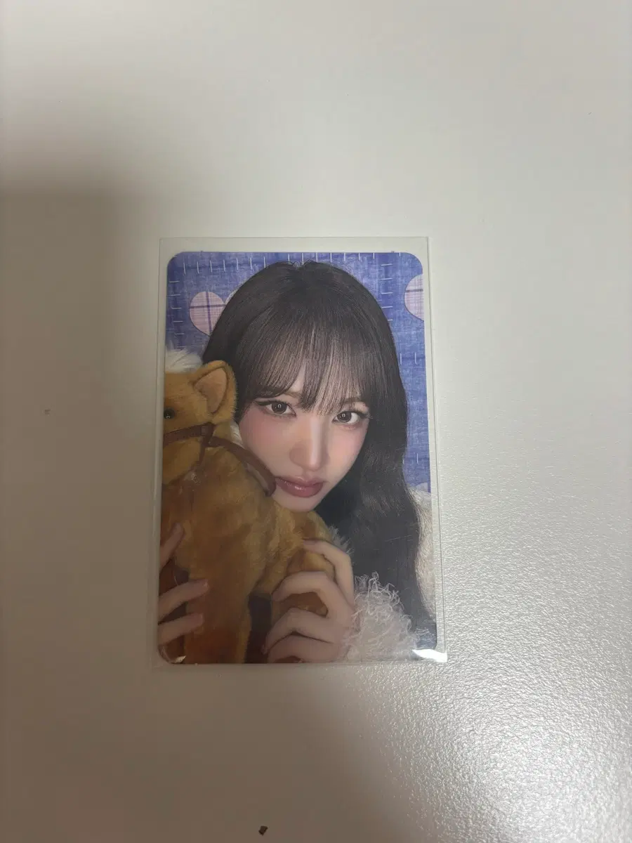 리즈 포카