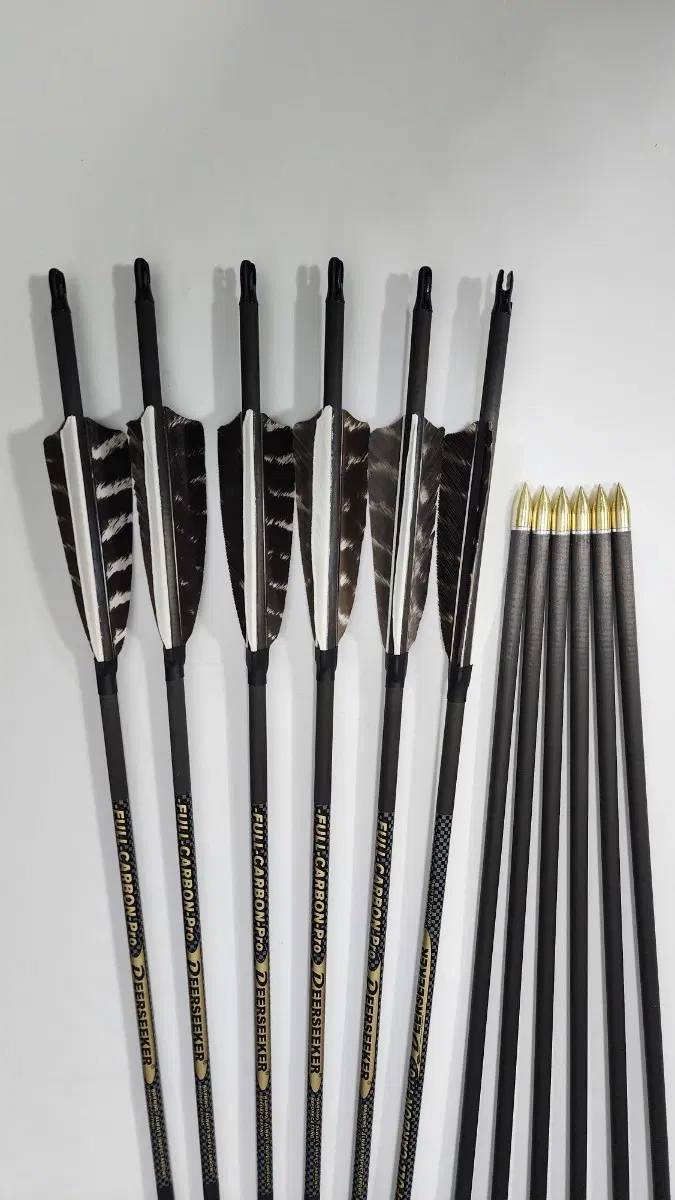 FULL CARBON Pro 400