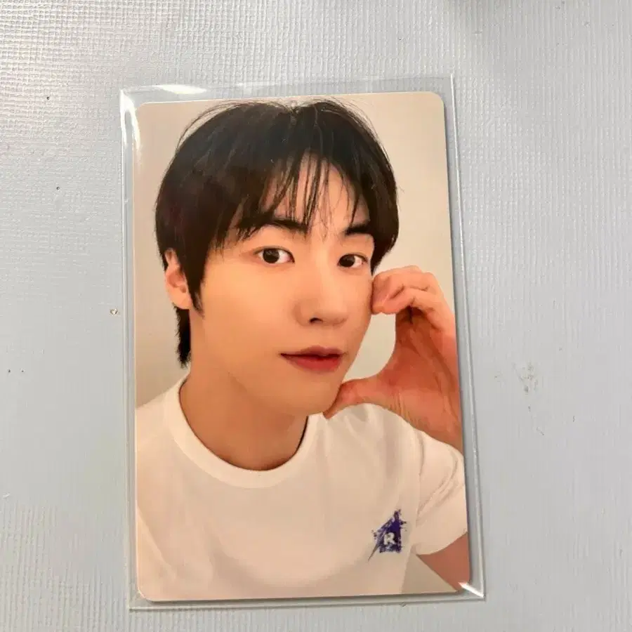 예판 엔플라잉 중국 팬싸인 포카