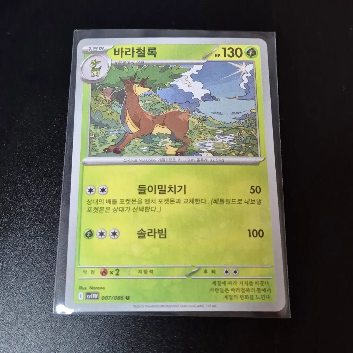 포켓몬 카드 바라철록 카드