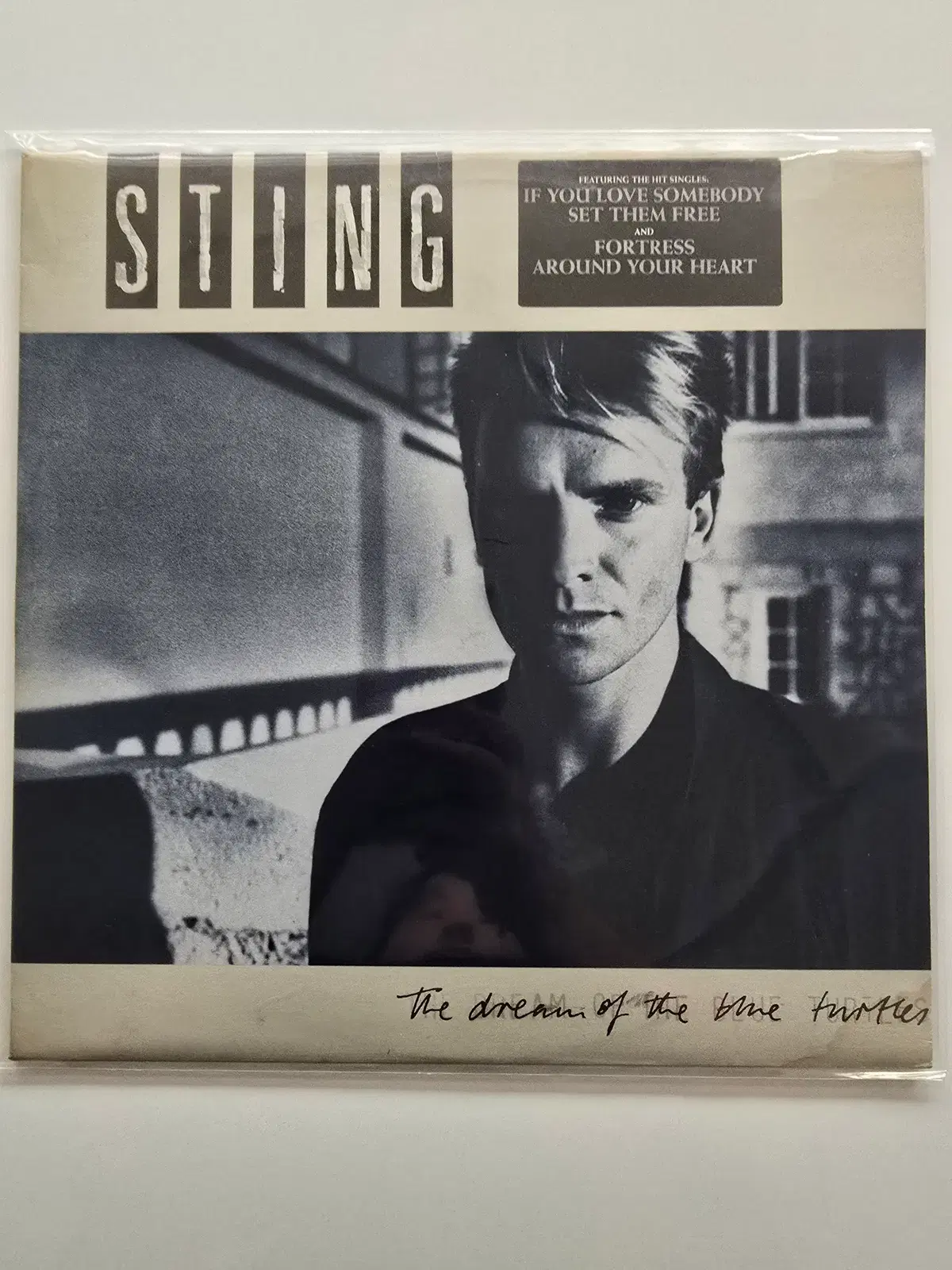 스팅 Sting LP / The Dream of the Blue Turtles / EX+실기스/ 가사집
