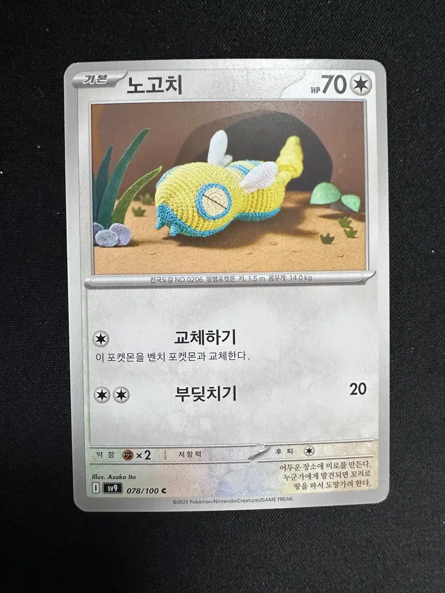 포켓몬 카드 노고치 덱소스