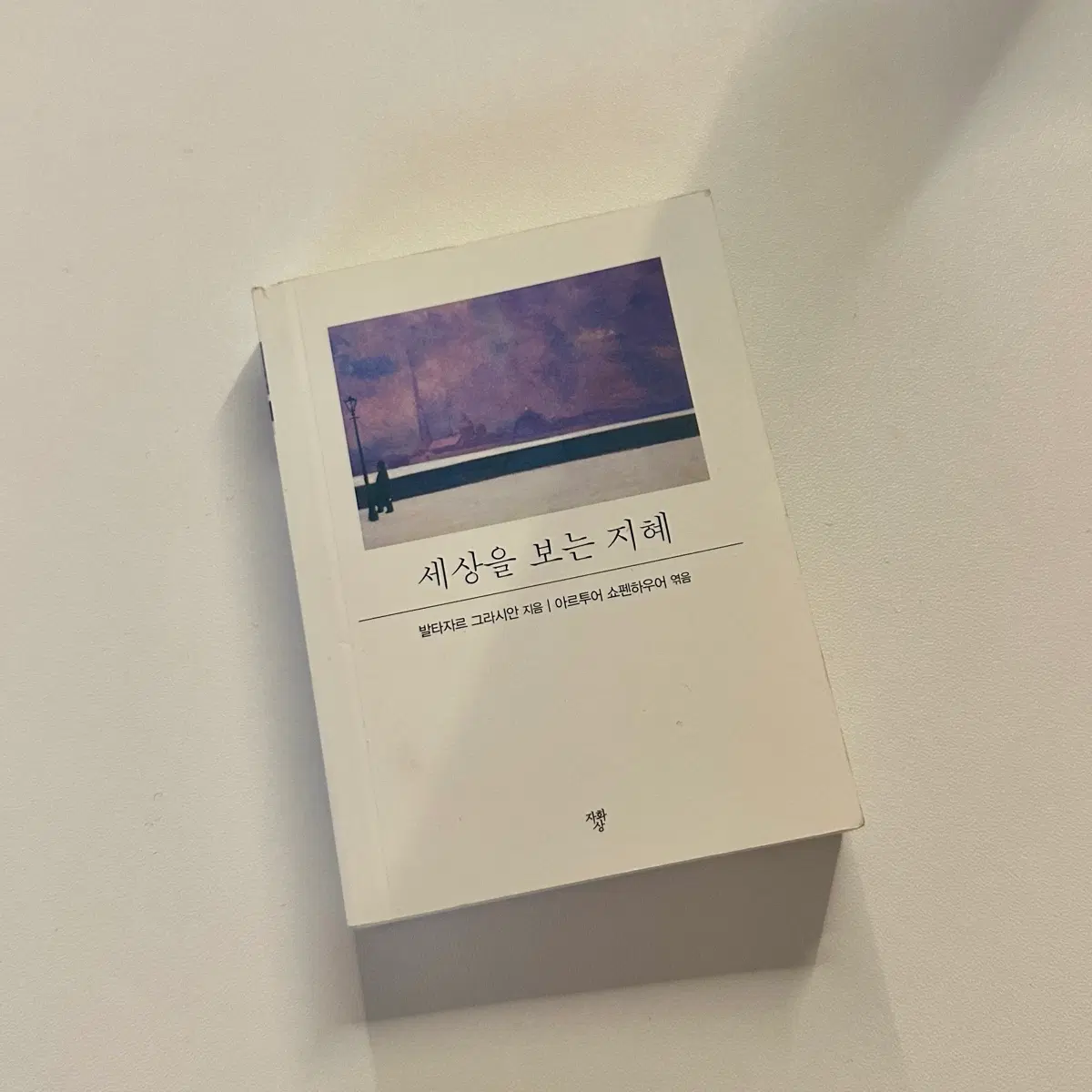 세상을 보는 지혜 발타자르 그라시안 지음 (에세이 자기개발 자기계발)