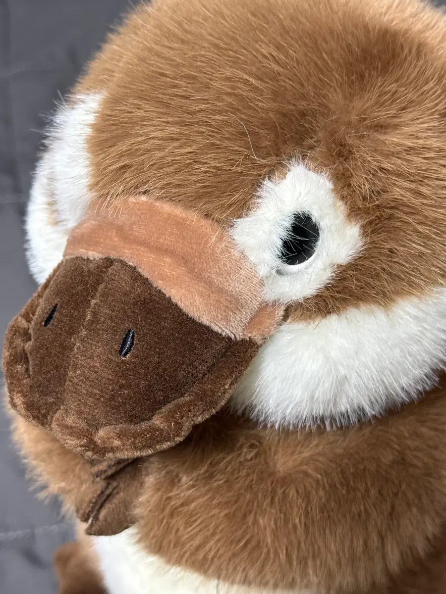 오리너구리 인형