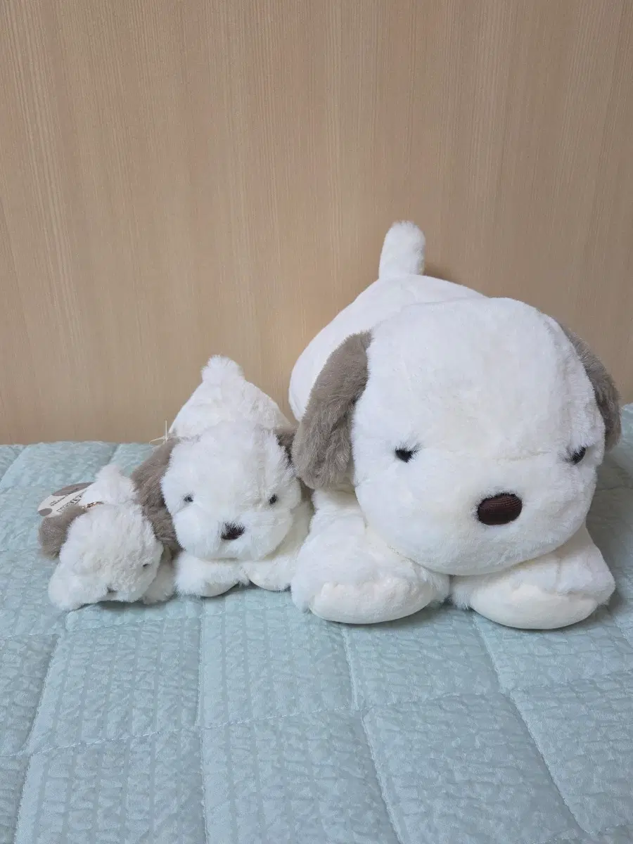 [세트] 뭉뭉이 라잉독  가족 세트 초소형 소형 중형 인형 키링