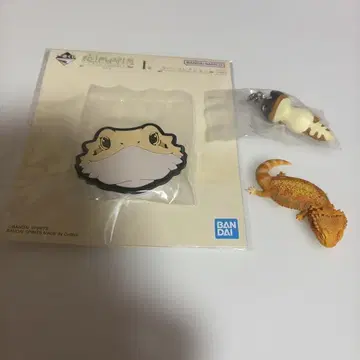 파충류 굿즈