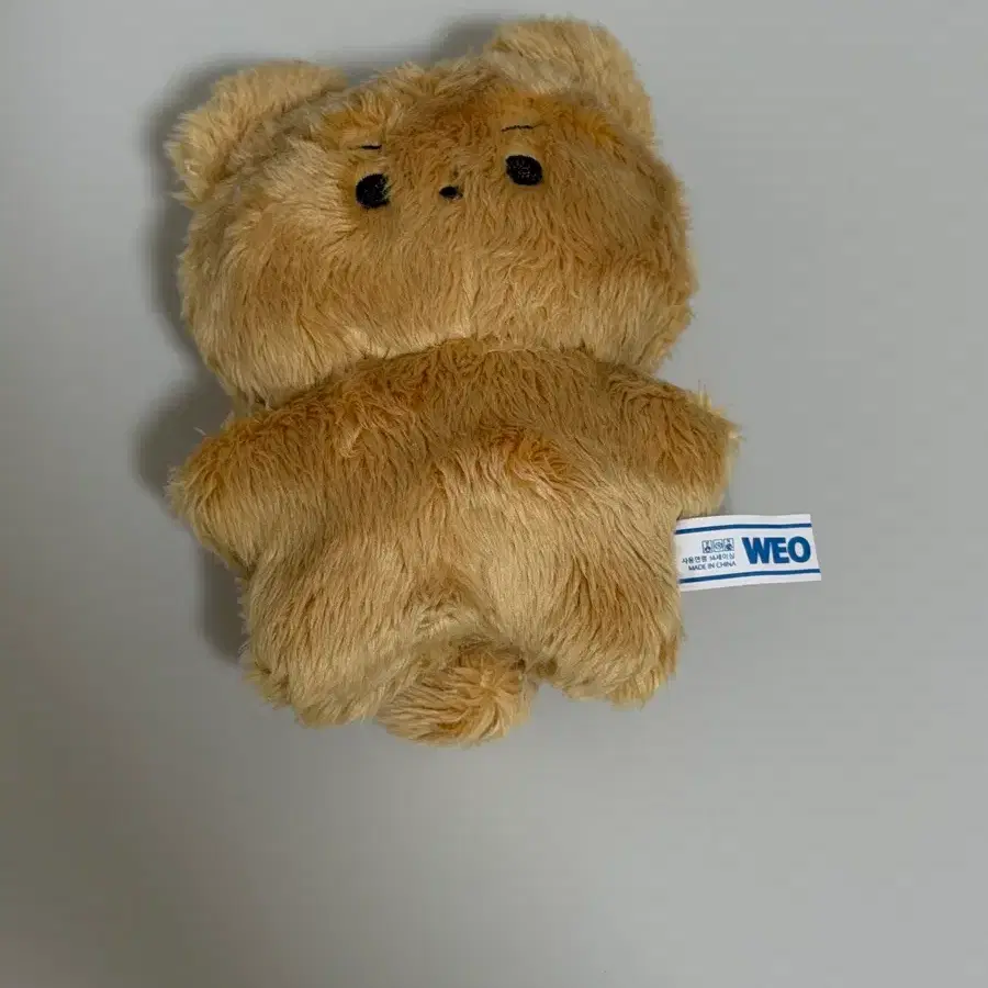 더보이즈 현재 비공굿 달곰 인형