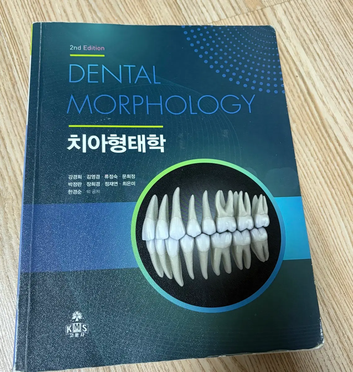 고문사 치아 형태학