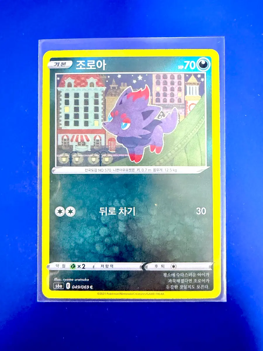 포켓몬카드 2021년 조로아 카드