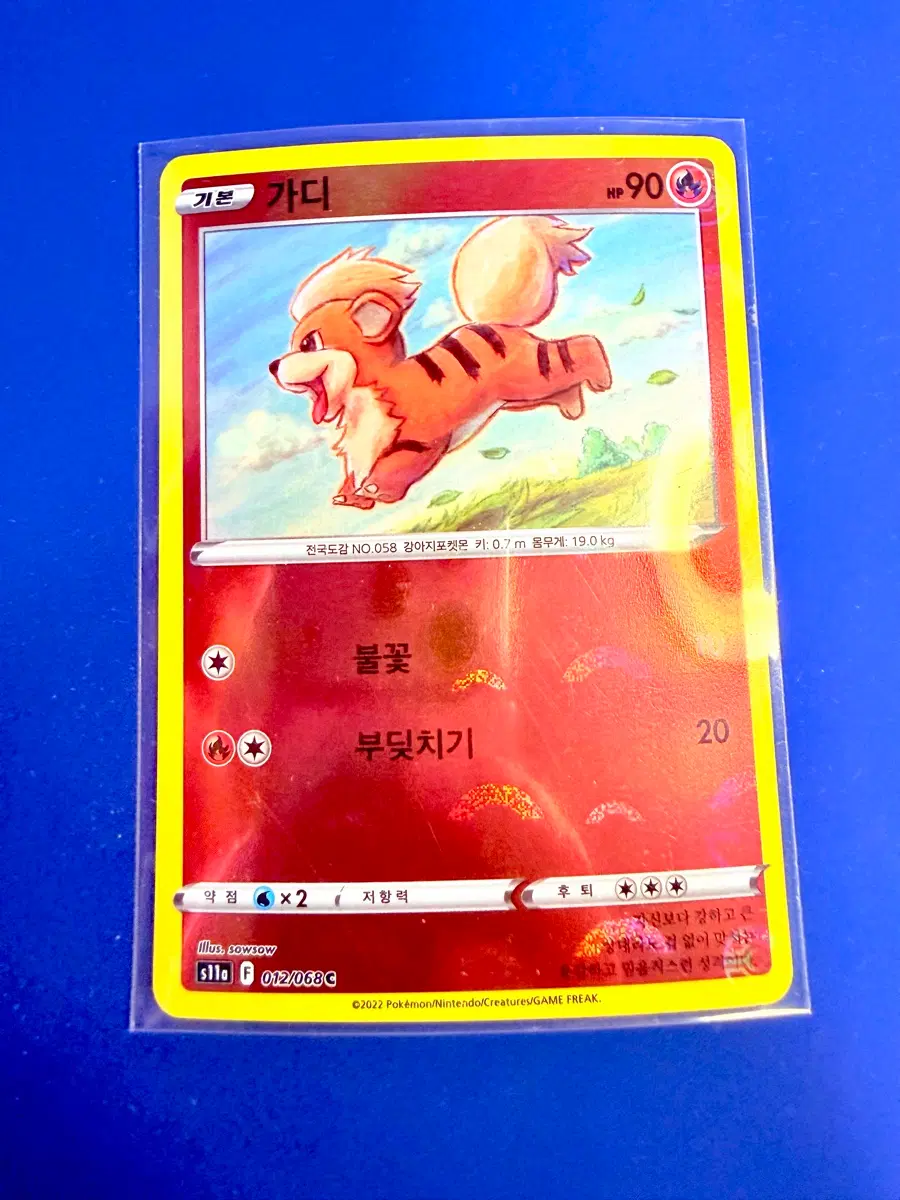 포켓몬카드 2022년 가디 몬볼 몬스터볼 카드