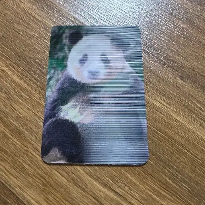 보고 있어도 보고싶은 우리 '푸바오' 포카 (3D사진 렌티큘러)