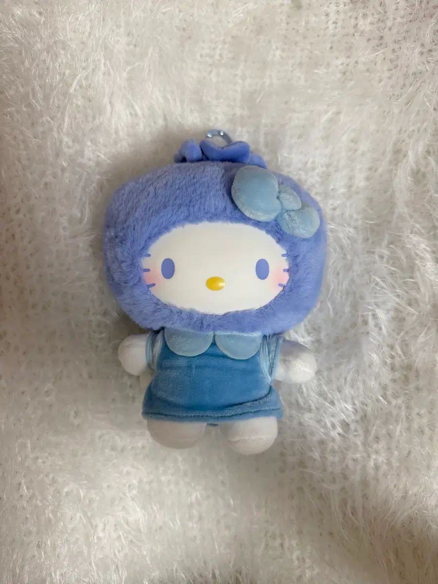 블루베리 키티