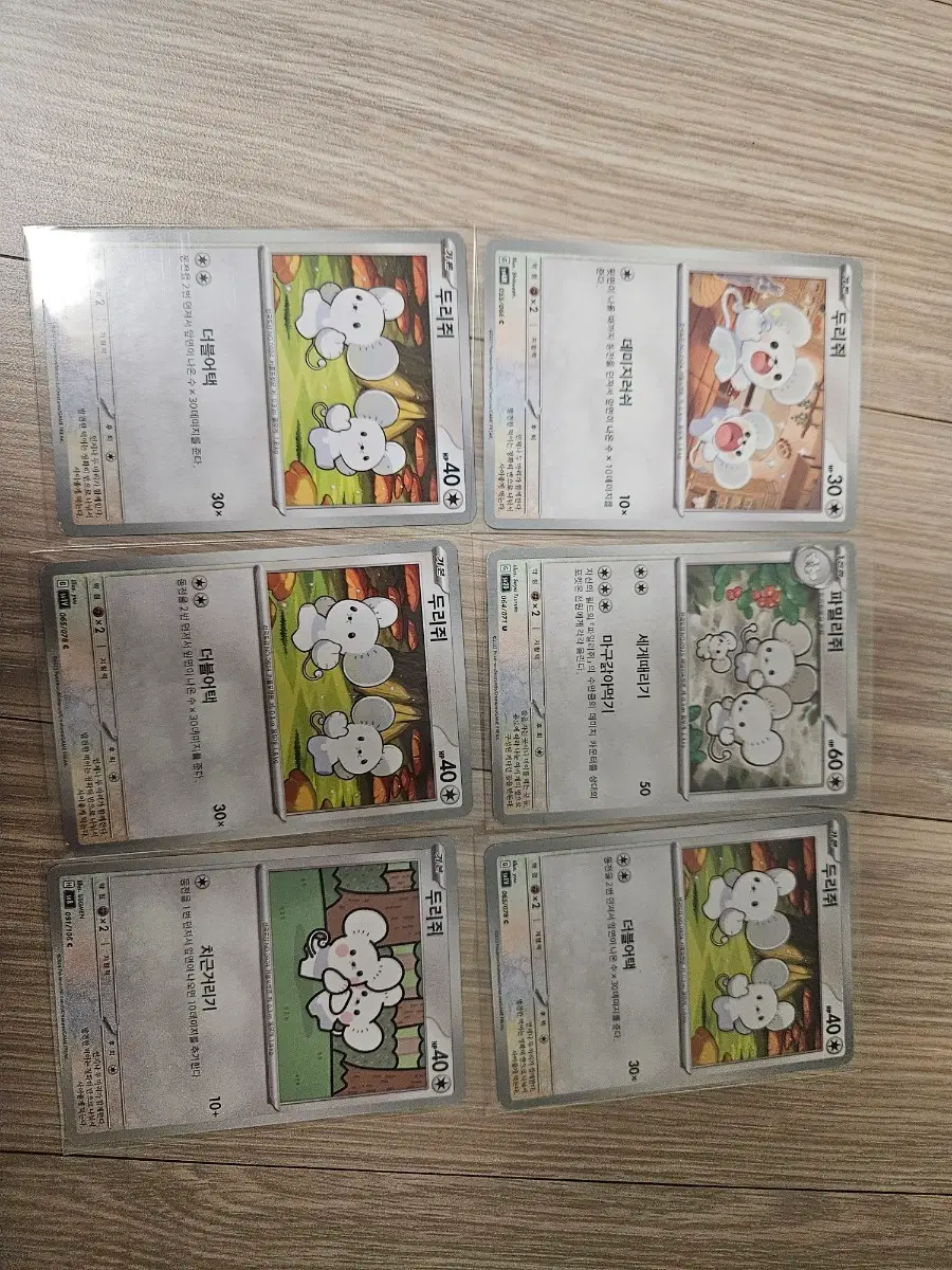 포켓몬 카드 두리쥐 6장