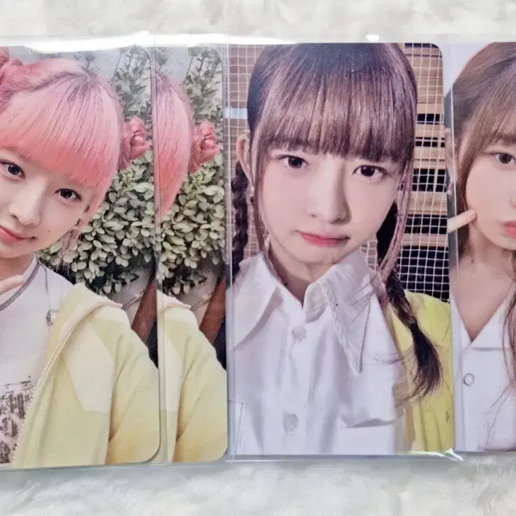 아이브 레이 포카 4장 일괄