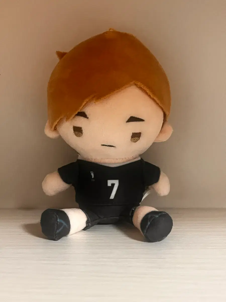 하이큐 미야 아츠무 인형