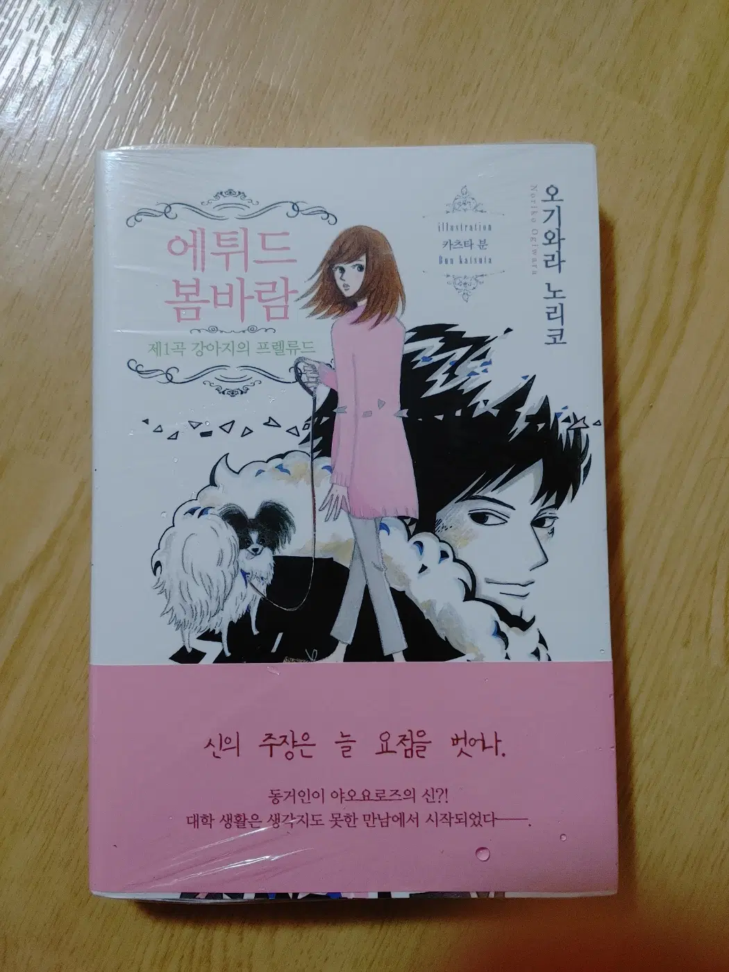 에튀드 봄바람 일본 소설 도서 책