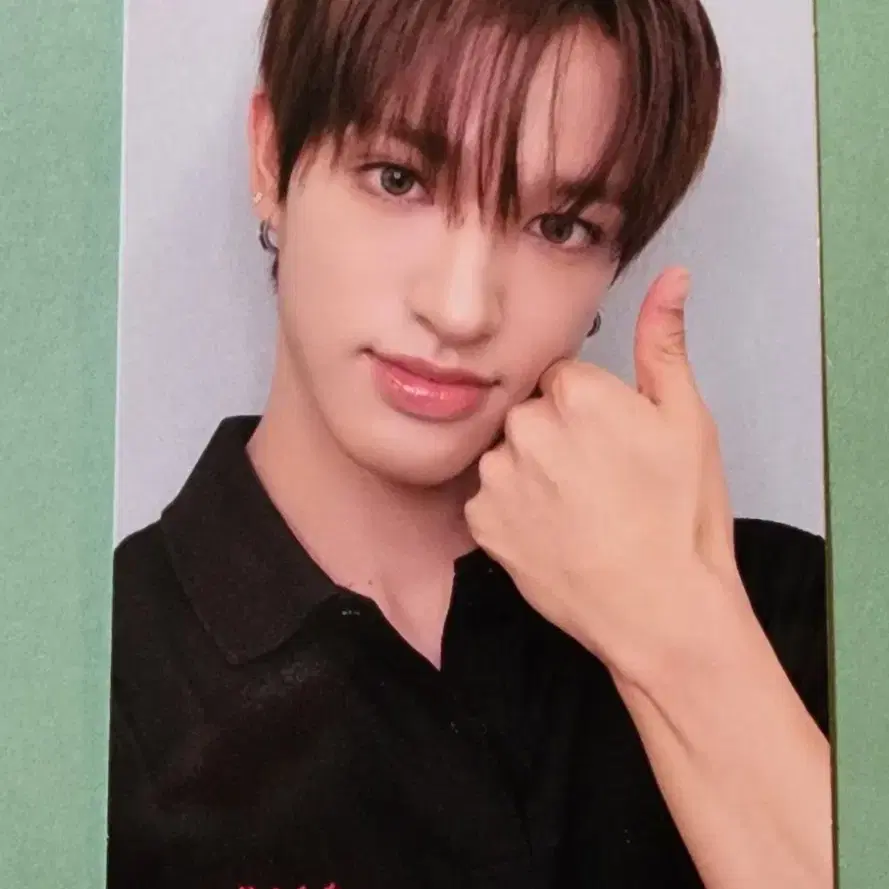 넥스지 세이타 미니 쇼케 포카