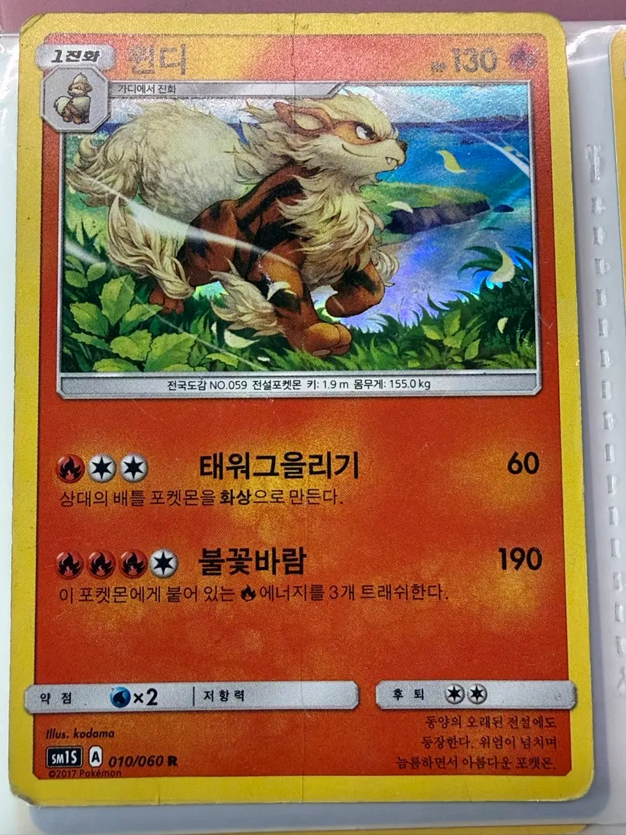 윈디 홀로그램 포켓몬카드