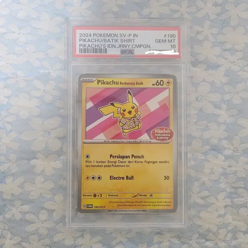 포켓몬 2024 포켓몬 카드 피카츄 배틱 셔츠 PSA 10