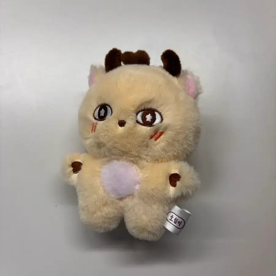 박지훈 소심이 인형