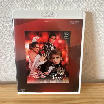 패션 다 무르 발렌시아의 뜨거운 꽃