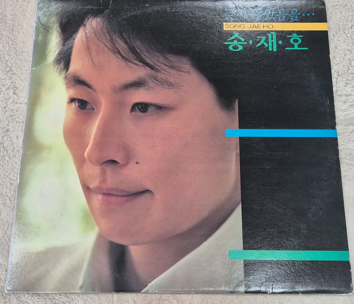 송재호 LP판