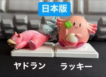 포켓몬 피규어 야도란 럭키 카드 세트