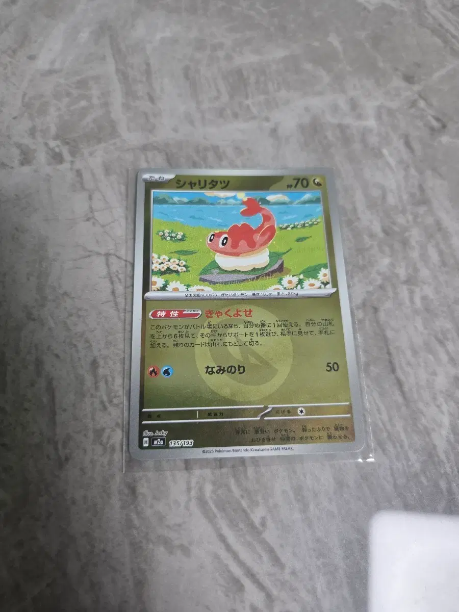 포켓몬카드[일판] 싸리용 홀로