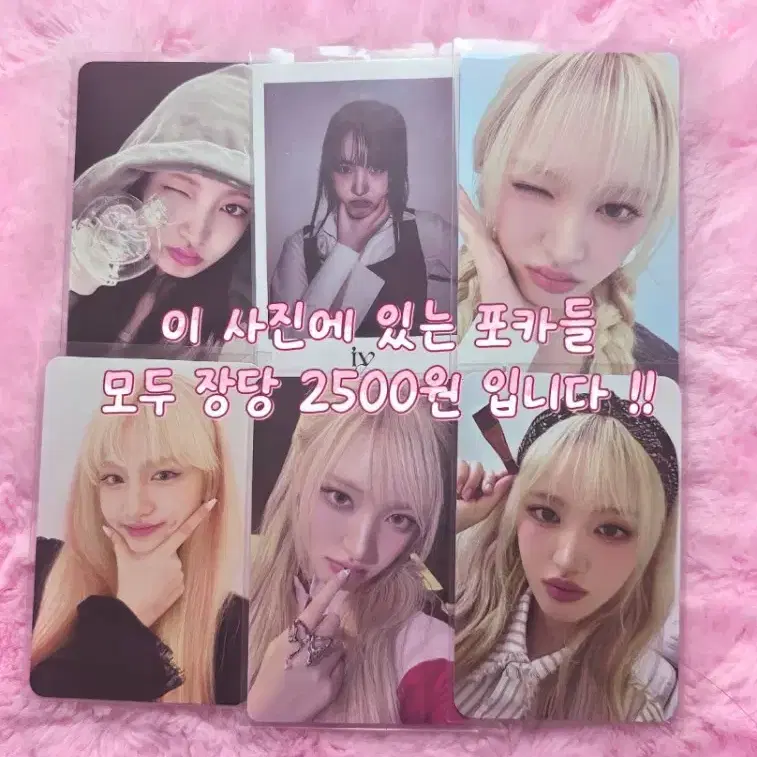[ 아이브 리즈 포토카드 판매 ! ] // 급처 포카 최저가